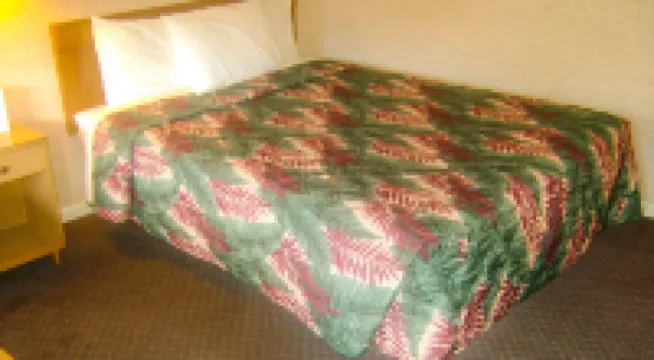 Alma Motel Hotels in 