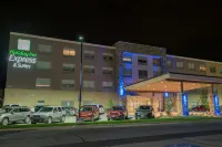 Holiday Inn Express & Suites FORT WAYNE NORTH by IHG - parking