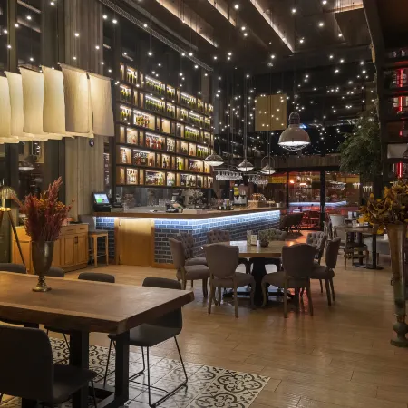 Holiday Inn KAYSERI - DUVENONU by IHG