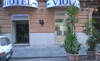 Hotel Viola