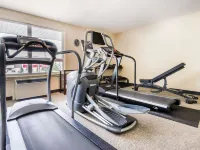 Comfort Inn & Suites Hotels near Orchard Express