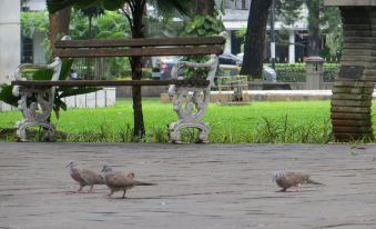 Zia Sanno Menteng Residences- Jakarta