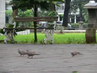 DPARAGON SENOPATI Hôtels à : Jakarta Sud