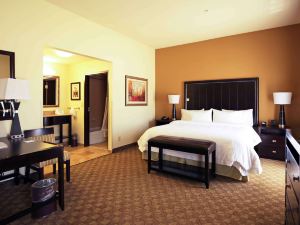 Hampton Inn & Suites McAlester