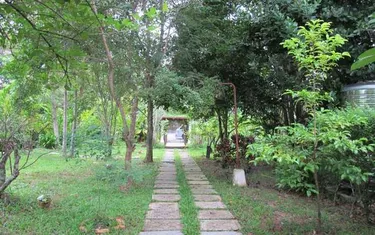 รูปภาพของบ้านสวนอัมพวา