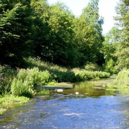 River Cottage