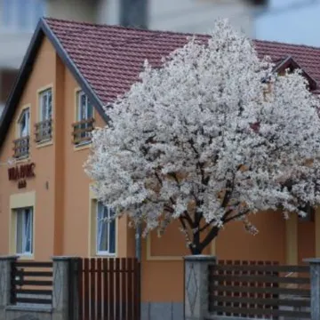 Villa Parc Отели рядом с достопримечательностью «Арена «Клуж»»
