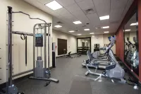 希爾頓花園旅館-波林布魯克 I 55 - 健身室/gym room