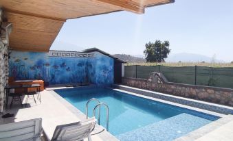 Secluded Villa with Private Pool in Seydikemer