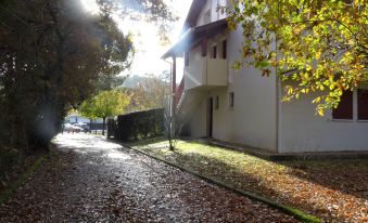 Les ecureuils