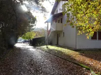 Les ecureuils