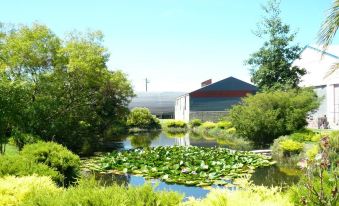 The Old Yarragon Dairy