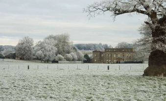 a snow - covered field with a large building in the background , creating a picturesque winter scene at Ston Easton Park