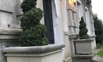 a white building with a staircase leading up to it , along with two potted trees in front of the entrance at Cleatham Hall