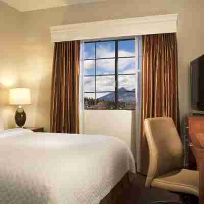 Embassy Suites by Hilton Flagstaff Rooms