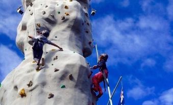 빔비 파크 캠핑 언더 코알라스