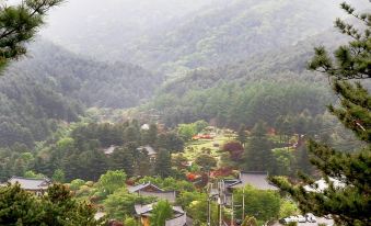 Gapyeong Blue Skylight Pension