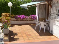 Mimosa I Hotels in Els Poblets