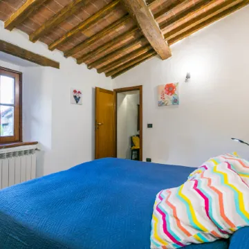 Villi