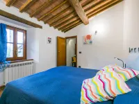 Villi