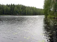 Aurinko - 4 stjerner