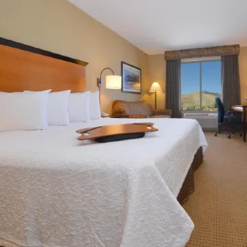 Hampton Inn & Suites Carson City