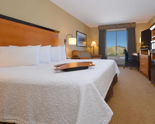 Hampton Inn & Suites Carson City Hotels in Carson City