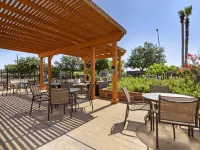 Best Western Plus Downtown North Hotels near The DoSeum