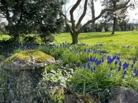 Hill Farm Hotels in Elsfield