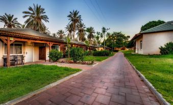 Daria - Authentic Israeli Experience