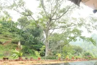 Mount Court Munnar