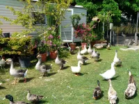 Agriturismo Dolce Luna Hôtels à : Settimo Milanese