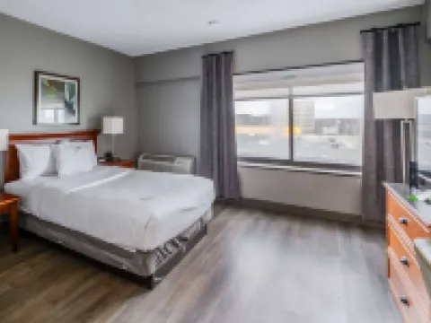 La Quinta Inn & Suites by Wyndham New Haven Hotels in New Haven