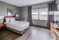 La Quinta Inn & Suites by Wyndham New Haven Hotels in New Haven