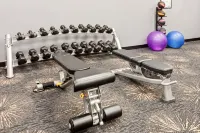 Holiday Inn CHICAGO OAKBROOK by IHG - Gym