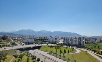 El Yacouta