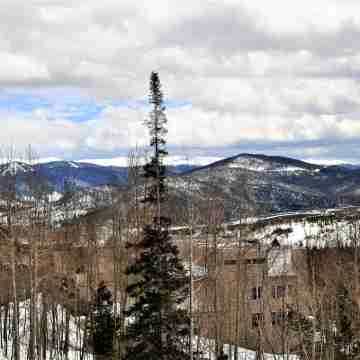 Forest Park 3 Bed 4 Bath Twnhm Htjm Others