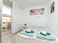 Zamia 2 - spa