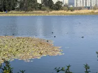 Siyangdeya Homestay (Mingshan Street No.1)