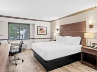 Best Western Maple Ridge Hotel Hotels in Maple Ridge
