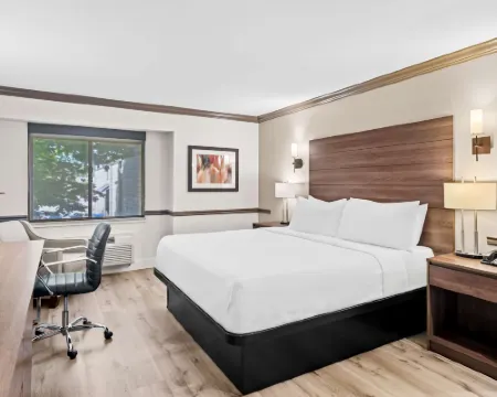 Best Western Maple Ridge Hotel Hotels in Maple Ridge