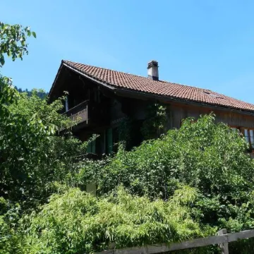 Im Wiesengrund