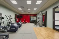 Embassy Suites by Hilton Orlando Lake Buena Vista South - gimnasio