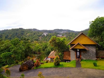 The Wild Trails Clarks Exotica , Munnar