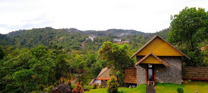 The Wild Trails Clarks Exotica , Munnar Hotele w: Munnar