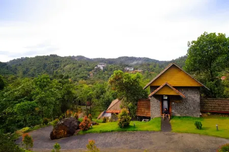 The Wild Trails Clarks Exotica , Munnar
