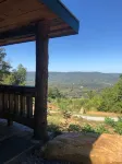 Tree Top View