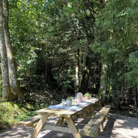 Chalet 10 Personnes