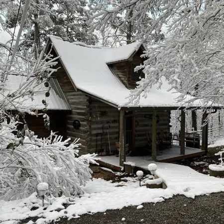 1800's Original Cozy Romantic Cabin For 2 Or The Family