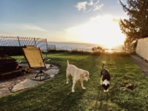 Pets welcome. Great Ocean View .  Remodeled Kitchen. Fire Pit. BBQ<br>Free WiFi. Hotels in Harbor